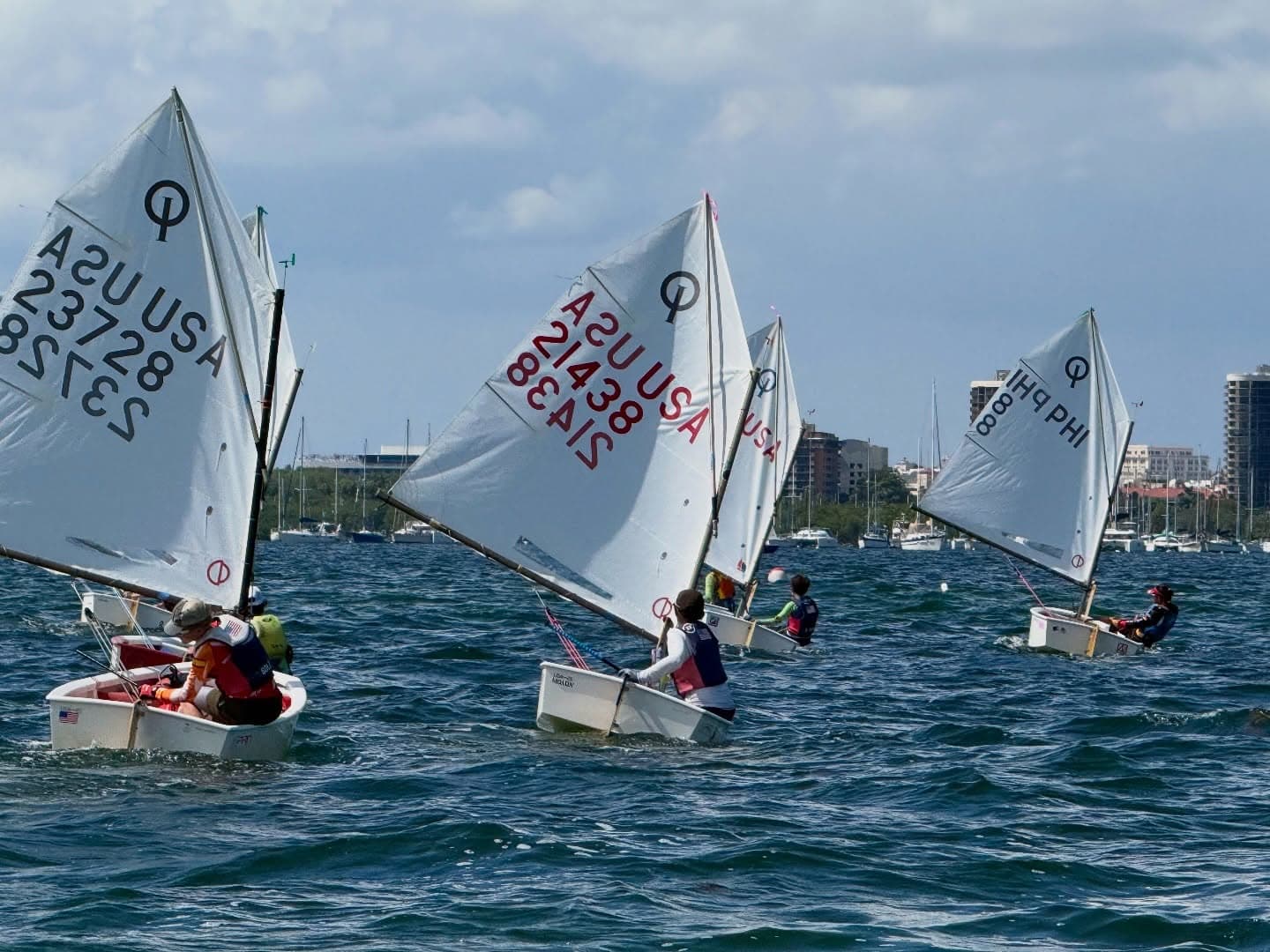 Youth sailing pathway at Coconut Grove Sailing Club — from Optimist beginner lessons to racing and windsurfing